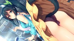 Rule 34 | 1girl, animal ears, apron, aristear remain, ass, bare shoulders, black hair, black panties, cat ears, cat tail, clothes lift, dutch angle, game cg, green eyes, highres, himeno haruka, ladle, long hair, long skirt, looking at viewer, looking back, panties, ponytail, rozea (graphmelt), sidelocks, skirt, skirt lift, smile, solo, tail, underwear