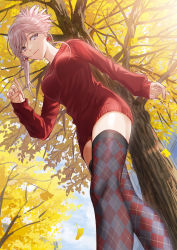 Rule 34 | 1girl, alternate costume, argyle, argyle clothes, argyle legwear, blue eyes, blue sky, breasts, closed mouth, cloud, commentary request, day, earrings, fate/grand order, fate (series), fingernails, from below, ginkgo tree, highres, jewelry, leaf, leaf earrings, lips, long sleeves, looking away, looking to the side, medium breasts, miyamoto musashi (fate), nail polish, outdoors, panmijin99, pink hair, pink lips, ponytail, red nails, red sweater, short hair, sky, sleeves past wrists, solo, sweater, thighhighs, thighs, tree