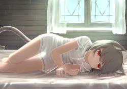 Rule 34 | 1girl, absurdres, animal ear fluff, animal ears, bed, brown hair, cat ears, cat girl, cat tail, curtains, flat chest, grey hair, highres, indoors, lying, naked shirt, on bed, on side, original, red eyes, reito (lyra-yasao-0628), see-through silhouette, shirt, short hair, short sleeves, sunlight, tail, wavy mouth, white shirt, window, zeronose