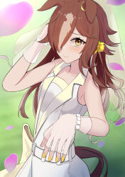 Rule 34 | 1girl, absurdres, animal ears, bare shoulders, blush, bow, bracelet, breasts, brown hair, cherry blossoms, closed mouth, commentary request, dress, ears down, fingerless gloves, gloves, hair over one eye, highres, horse ears, horse girl, horse tail, jewelry, long hair, looking at viewer, official alternate costume, official alternate hair length, official alternate hairstyle, sasanomakiki, sleeveless, sleeveless dress, small breasts, smile, solo, tail, umamusume, vodka (heart ignition!!) (umamusume), vodka (umamusume), white bow, white dress, white gloves, yellow eyes, yellow nails