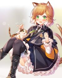 Rule 34 | 1girl, animal, animal ears, arknights, black footwear, black necktie, black thighhighs, blue dress, blush, boots, calico, cat, cat ears, cat girl, cat tail, cat teaser, coat, colored tips, dress, fang, frilled dress, frilled sleeves, frills, green eyes, hand up, highres, holding, ion (on01e), long sleeves, mousse (arknights), multicolored hair, multiple tails, necktie, open mouth, orange hair, short hair, skin fang, smile, solo, swept bangs, tail, thighhighs, tie clip, two-tone hair, white hair, wide sleeves