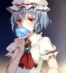 Rule 34 | 1girl, ascot, bad id, bad pixiv id, blue flower, blue rose, brooch, dress, flower, hat, jewelry, looking at viewer, mob cap, puffy short sleeves, puffy sleeves, red eyes, remilia scarlet, rinarisa, rose, short sleeves, silver hair, smelling flower, solo, touhou, white dress