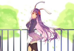 Rule 34 | 1girl, absurdres, animal ears, black thighhighs, blazer, breasts, day, diving penguin, floating hair, flower, from side, hair flower, hair ornament, head tilt, highres, jacket, large breasts, long hair, long sleeves, looking at viewer, miniskirt, outdoors, pink eyes, pink skirt, pleated skirt, purple hair, rabbit ears, rabbit girl, rabbit tail, red flower, reisen udongein inaba, skirt, solo, tail, thighhighs, touhou, very long hair, wind