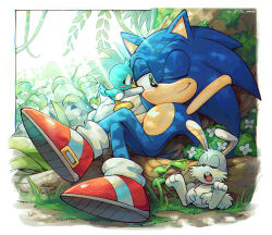 Rule 34 | 1boy, animal feet, bird, closed eyes, crossed legs, flicky (character), gloves, grass, green eyes, highres, male focus, one eye closed, pocky (sonic), quill, rabbit, shoes, show chiku-by, sleeping, smile, sonic (series), sonic the hedgehog, sunlight, tail, white gloves
