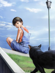 Rule 34 | 1boy, blue sky, cat, child, grass, highres, male focus, original, outdoors, realistic, sitting, sky, solo, summer, to1989