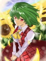 Rule 34 | 1girl, ascot, blue sky, closed mouth, flower, green hair, highres, kazami yuuka, light rays, long sleeves, looking at viewer, outdoors, own hands together, plaid, plaid skirt, plaid vest, red eyes, red skirt, red vest, shirt, short hair, skirt, sky, smile, solo, sunflower, theon (te2eo), touhou, v arms, vest, white shirt, yellow ascot