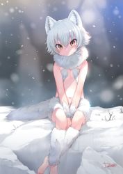 Rule 34 | 1girl, absurdres, animal ears, bad id, bad twitter id, barefoot, breasts, dancho (dancyo), fur, fur collar, highres, looking at viewer, navel, original, short hair, sitting, small breasts, snow, solo, tail, thick eyebrows, v arms, white hair, wolf ears, wolf tail, yellow eyes