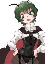 Rule 34 | 1girl, adapted costume, akatsuki records, antennae, belt, black belt, black cape, black leotard, brown pants, cape, commentary request, covered navel, cowboy shot, green eyes, green hair, highres, juliet sleeves, kaninocrab, leotard, leotard under clothes, long sleeves, looking at viewer, open mouth, pants, puffy sleeves, red cape, rock &#039;n&#039; rock &#039;n&#039; beat, shirt, short hair, shrug (clothing), simple background, solo, touhou, two-sided cape, two-sided fabric, v-shaped eyebrows, white background, white shirt, wriggle nightbug, zipper