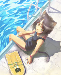 Rule 34 | 1girl, :3, animal ears, black one-piece swimsuit, brown hair, cat ears, cat tail, female focus, from above, kickboard, looking at viewer, looking up, nyaou, one-piece swimsuit, pool, pool ladder, poolside, school swimsuit, shadow, slit pupils, solo, swimsuit, tail, water, yellow eyes
