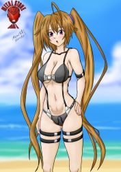 Rule 34 | 1girl, 2022, absurdres, ahoge, artist logo, artist name, beach, bikini, blush, breasts, brown hair, cleavage, female focus, gluteal fold, hand on own hip, high school dxd, highres, large breasts, legs, lipstick, long hair, makeup, navel, ocean, open mouth, purple eyes, shidou irina, solo, standing, stomach, swimsuit, thigh strap, thighs, toned, twintails, underboob, water