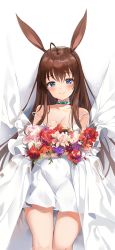 Rule 34 | 1girl, absurdres, ahoge, alternate costume, amiya (arknights), animal ears, arknights, bare shoulders, blue choker, blue eyes, blush, bouquet, breasts, brown hair, choker, closed mouth, collarbone, dress, flower, hair between eyes, highres, holding, holding bouquet, infection monitor (arknights), jewelry, long hair, long sleeves, looking at viewer, rabbit ears, red flower, ring, rose, smile, solo, strapless, thighs, togo (korlsj1235), white background, white dress