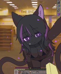 1girl animal_ears backrooms_(creepypasta) bare_shoulders bikini black_bikini black_hair cat_ears cat_girl cat_tail enderman english_text feminization highres liminal_space looking_at_viewer mike_no_hito minecraft multicolored_hair purple_eyes purple_hair swimsuit tail two-tone_hair user_interface