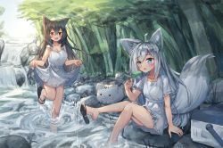 Rule 34 | 2girls, :d, ahoge, animal, animal ear fluff, animal ears, arm support, bare arms, black footwear, blue eyes, blush, breasts, brown hair, cat, cat ears, cleavage, collarbone, cooler, day, dress, food, forest, fox ears, fox girl, fox tail, hair between eyes, hand up, holding, holding food, long hair, multiple girls, nature, open mouth, original, outdoors, popsicle, red eyes, river, rock, sandals, short sleeves, silver hair, sitting, skirt hold, sleeveless, sleeveless dress, small breasts, smile, soaking feet, sparkle, splashing, standing, standing on one leg, tail, tandohark, very long hair, wading, water, waterfall, white dress