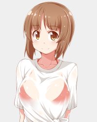 Rule 34 | 10s, 1girl, bikini, bikini under clothes, breasts, brown eyes, brown hair, closed mouth, commentary request, dou-t, girls und panzer, grey background, highres, looking at viewer, medium breasts, nishizumi miho, partial commentary, red bikini, see-through, shirt, short hair, short sleeves, simple background, smile, solo, swimsuit, t-shirt, tied shirt, upper body, wet, wet clothes, wet hair, wet shirt, white shirt