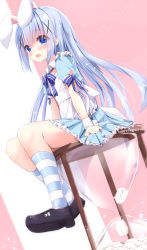 Rule 34 | 1girl, :d, animal ears, apron, arm support, black footwear, blue bow, blue eyes, blue hair, blue shirt, blue skirt, blush, bow, commentary request, dutch angle, frilled apron, frills, gochuumon wa usagi desu ka?, hair between eyes, hair ornament, highres, hourglass, kafuu chino, kemonomimi mode, kneehighs, kouda suzu, long hair, looking at viewer, mary janes, open mouth, pink background, pleated skirt, puffy short sleeves, puffy sleeves, rabbit ears, shirt, shoes, short sleeves, sitting, skirt, smile, socks, solo, striped bow, striped clothes, striped socks, tippy (gochiusa), two-tone background, very long hair, white apron, white background, wrist cuffs, x hair ornament