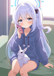 Rule 34 | 1girl, animal, azel (laevateinn495), black bow, blue archive, blue halo, blue hoodie, blush, bow, braid, cellphone, closed mouth, collarbone, commentary request, couch, drawstring, feet out of frame, french braid, hair bow, halo, highres, holding, holding phone, hood, hood down, hoodie, indoors, long hair, long sleeves, looking at viewer, miyako (blue archive), miyako (young) (blue archive), on couch, one side up, phone, pom pom (clothes), puffy long sleeves, puffy sleeves, purple eyes, purple hair, rabbit, sitting, smartphone, smartphone case, smile, solo, split mouth
