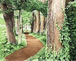 Rule 34 | aomori prefecture, day, forest, grass, highres, nature, no humans, original, painting (medium), path, plant, road, scenery, shadow, sunlight, tall grass, toirom pmxh, traditional media, tree, tree shade, vines, watercolor (medium), weeds
