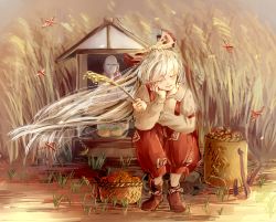 Rule 34 | 1girl, ankle boots, armband, basket, boots, bug, dragonfly, elbow rest, elbows on knees, eyelashes, closed eyes, food, fruit, fujiwara no mokou, grass, hair ribbon, head rest, bug, jizou, light smile, long hair, long sleeves, mokoiscat, ofuda, outdoors, pants, persimmon, ponytail, ribbon, shrine, sitting, solo, suspenders, touhou, very long hair, wheat, white hair, wind