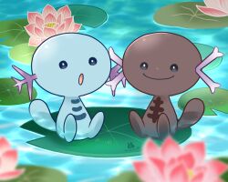 Rule 34 | animal focus, black eyes, bright pupils, closed mouth, creatures (company), dated, flower, game freak, gen 2 pokemon, lily pad, nintendo, no nose, open mouth, paldean wooper, pink flower, pokemon, pokemon (creature), signature, sitting, smile, tanshoku kurage, water, white pupils, wooper