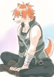 Rule 34 | 1boy, animal ears, bandaged arm, bandages, blush, brown eyes, dog boy, dog ears, dog tail, fate/extra, fate/grand order, fate (series), fingerless gloves, furry, furry male, gloves, jewelry, looking to the side, orange hair, robin hood (fate), shinkai kiiro, simple background, tail
