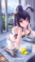 Rule 34 | 1girl, animal ears, artist name, bare shoulders, bikini, black hair, black leggings, black over-kneehighs, black thighhighs, breasts, building, closed mouth, commentary, cup, extra ears, food, fruit, full body, futon, glass, gold trim, hair bobbles, hair in own mouth, hair ornament, highres, indoors, jewelry, kneeling, large breasts, leggings, lemon, leotard, long hair, medium breasts, navel, necklace, nontraditional playboy bunny, original, over-kneehighs, playboy bunny, rabbit ears, rabbit girl, rainbow 1153683794, red eyes, revealing clothes, sky, solo, string bikini, swimsuit, table, thigh gap, thighhighs, tree, window