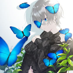 Rule 34 | 1girl, blue butterfly, blue eyes, bug, butterfly, clothing request, hair over one eye, insect, kusaka kou, leaf, long sleeves, original, short hair, solo, teardrop, tearing up, tears, white hair