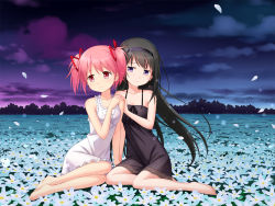 Rule 34 | 10s, 2girls, akemi homura, bare arms, bare shoulders, barefoot, black hair, black hairband, blush, bow, breasts, chemise, cloud, collarbone, daisy, earrings, field, flower, flower field, hair ribbon, hairband, holding hands, interlocked fingers, jewelry, kaname madoka, long hair, looking at another, looking away, mahou shoujo madoka magica, mahou shoujo madoka magica: hangyaku no monogatari, multiple girls, outdoors, petals, pink hair, purple eyes, purple sky, red ribbon, ribbon, shiny skin, short hair, single earring, sitting, sky, sleeveless, small breasts, smile, tucana, twintails, white bow
