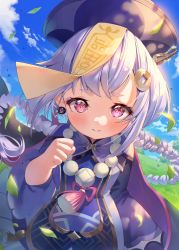 Rule 34 | 1girl, bead necklace, beads, blue sky, blush, braid, closed mouth, dai nikucho, day, dress, genshin impact, hair ornament, hat, highres, jewelry, jiangshi, leaf, long hair, long sleeves, looking at viewer, necklace, ofuda, outdoors, pink eyes, purple hair, purple hat, qiqi (genshin impact), sky, solo, upper body, white background, wind