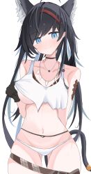 Rule 34 | 1girl, absurdres, animal ear fluff, animal ears, arknights, bare shoulders, black choker, black gloves, black hair, blaze (arknights), blue eyes, blush, breasts, cat ears, cat girl, cat tail, choker, closed mouth, clothes lift, collarbone, commentary request, cowboy shot, crop top, crop top overhang, gloves, gluteal fold, hairband, highres, jewelry, large breasts, lifted by self, looking at viewer, lowleg, lowleg panties, material growth, midriff, navel, necklace, no pants, nui (nuinui0300), oripathy lesion (arknights), panties, pendant, red hairband, shirt lift, simple background, smile, solo, tail, tank top, tooth necklace, underboob, underwear, white background, white panties, white tank top