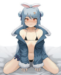 Rule 34 | 1girl, animal ears, artist request, bare shoulders, bed sheet, bikini, black bikini, blue hair, blue jacket, blush, breasts, carrot hair ornament, closed mouth, collarbone, double bun, food-themed hair ornament, hair bun, hair ornament, highres, hololive, hololive fantasy, jacket, kneeling, long hair, long sleeves, looking at viewer, micro bikini, navel, off shoulder, rabbit ears, red eyes, simple background, small breasts, smile, solo, spread legs, swimsuit, usada pekora, virtual youtuber, white background
