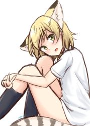 Rule 34 | 1girl, :d, absurdres, animal ear fluff, animal ears, black socks, blonde hair, cat ears, cat tail, extra ears, from side, green eyes, highres, hugging own legs, kemono friends, kneehighs, looking at viewer, looking to the side, no pants, open mouth, sand cat (kemono friends), shiraha maru, shirt, short hair, short sleeves, signature, simple background, sitting, sketch, smile, socks, solo, striped tail, tail, v, white background, white shirt