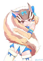 Rule 34 | 1girl, animal ears, belt, brown eyes, brown hair, chipmunk ears, chipmunk girl, chipmunk tail, elbow gloves, extra ears, gloves, highres, kemono friends, kemono friends v project, kneehighs, looking at viewer, microphone, ribbon, saival cat, shirt, short hair, shorts, siberian chipmunk (kemono friends), simple background, sleeveless, sleeveless shirt, socks, solo, tail, tongue, virtual youtuber