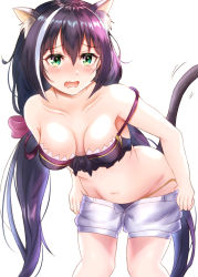 Rule 34 | 1girl, akuakuran, animal ear fluff, animal ears, bare shoulders, bikini, bikini top only, black hair, blush, bow, breasts, cat ears, cat tail, clothes pull, fang, female focus, green eyes, hair bow, half-closed eyes, karyl (princess connect!), karyl (summer) (princess connect!), looking at viewer, low twintails, navel, open mouth, princess connect!, short shorts, shorts, shorts pull, small breasts, solo, stomach, strap slip, strapless, swimsuit, tail, twintails, undressing, white shorts