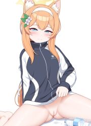 Rule 34 | 1girl, absurdres, animal ear fluff, animal ears, blue archive, blue eyes, blush, bottle, bottomless, cleft of venus, closed mouth, flower, hair flower, hair ornament, hairband, halo, highres, jacket, jc shikikan, long hair, long sleeves, looking at viewer, mari (blue archive), mari (track) (blue archive), orange hair, pussy, simple background, sitting, smile, solo, track jacket, uncensored, white background, white hairband