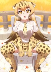 Rule 34 | 1girl, animal ears, animal print, autumn, autumn leaves, bare shoulders, blonde hair, breasts, breath, brown hair, cheetah (kemono friends), cheetah ears, cheetah print, collared shirt, day, elbow gloves, ev (kemomimizuku), extra ears, eyeshadow, fang, full body, ginkgo leaf, gloves, kemono friends, kemono friends 2, large breasts, leaf, long hair, looking at viewer, makeup, maple leaf, medium breasts, miniskirt, multicolored hair, necktie, open mouth, outdoors, pleated skirt, print footwear, print gloves, print necktie, print skirt, print thighhighs, railing, shirt, shoes, sitting, skindentation, skirt, solo, spread legs, sweat, taut clothes, taut shirt, thighhighs, v arms, very long hair, wet, wet clothes, wet shirt, white shirt, wing collar, yellow eyes, zettai ryouiki
