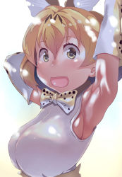 Rule 34 | 10s, animal ears, armpits, bad anatomy, blonde hair, bow, bowtie, breasts, elbow gloves, gloves, kemono friends, kunifuto, large breasts, open mouth, serval (kemono friends), serval print, shirt, sleeveless, sleeveless shirt, solo, upper body