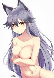 Rule 34 | 10s, 1girl, agano (yoshii aki), animal ear fluff, animal ears, artist name, blush, breasts, cleavage, covering privates, covering breasts, extra ears, fox ears, grey hair, groin, hair between eyes, highres, holding own arm, kemono friends, long hair, looking at viewer, medium breasts, navel, nude, signature, silver fox (kemono friends), simple background, solo, very long hair, white background, yellow eyes