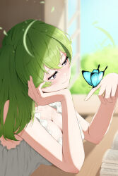 Rule 34 | 1girl, absurdres, book, breasts, bug, butterfly, cleavage, closed mouth, desk, from side, gochicat, green hair, head on arm, head tilt, highres, insect, large breasts, leaning on object, nightgown, purple eyes, sleepwear, smile, solo, sousou no frieren, ubel (sousou no frieren), white nightgown