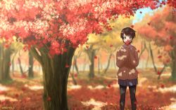 Rule 34 | 1girl, autumn leaves, black pantyhose, blue skirt, brown eyes, brown hair, cardigan, commentary request, covering own mouth, falling leaves, forest, holding, holding leaf, leaf, long sleeves, looking at viewer, maple leaf, nature, original, outdoors, pantyhose, pleated skirt, pocket, short hair, short sleeves, skirt, solo, standing, tree, tree shade, umiroku, under tree