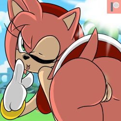 Rule 34 | 1girl, amy rose, anus, ass, bare shoulders, bracelet, breasts, cleft of venus, closed mouth, finger to mouth, from behind, furry, furry female, gloves, gluteal fold, green eyes, hairband, hedgehog ears, hedgehog girl, hedgehog tail, jewelry, looking at viewer, looking back, medium breasts, no panties, one eye closed, outdoors, p0k4chu, pink hair, pussy, red hairband, red skirt, shushing, sideboob, skirt, sleeveless, smile, solo, sonic (series), tail, thighs, tongue, tongue out, upskirt, white gloves, wink
