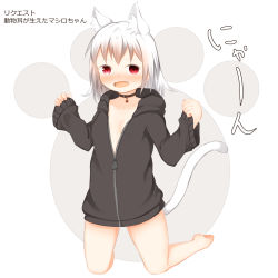 Rule 34 | 1girl, animal ear fluff, animal ears, barefoot, black jacket, blush, breasts, cat ears, cat girl, cat tail, collarbone, commentary request, fang, full body, grey background, highres, hood, hood down, hooded jacket, jacket, kneeling, long hair, long sleeves, looking at viewer, open clothes, open jacket, open mouth, original, pinching sleeves, red eyes, sleeves past wrists, small breasts, solo, su guryu, tail, translation request, two-tone background, white background, white hair, wide sleeves