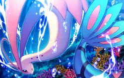 Rule 34 | :o, bubble, commentary request, coral, creatures (company), game freak, gen 3 pokemon, iroyopon, looking at viewer, looking back, milotic, nintendo, no humans, open mouth, pokemon, pokemon (creature), solo, tongue, underwater