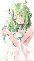 Rule 34 | 1girl, antlers, blush, braid, braided bangs, branch, breasts, ceres fauna, flower, green hair, hair flower, hair ornament, highres, hololive, hololive english, horns, jewelry, large breasts, long hair, looking at viewer, mole, mole under eye, multicolored hair, navel, shawl, single braid, smile, solo, virtual youtuber, yellow eyes, yuyaiyaui