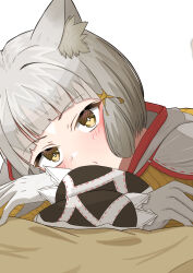 Rule 34 | 1girl, absurdres, animal ear fluff, animal ears, blush, brown eyes, closed mouth, commentary request, eteko (eteco30), gloves, grey gloves, grey hair, highres, long sleeves, looking at viewer, nia (xenoblade), puffy long sleeves, puffy sleeves, simple background, sleeves past wrists, solo, white background, xenoblade chronicles (series), xenoblade chronicles 2