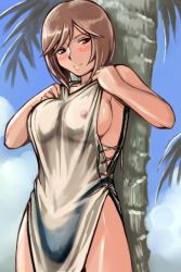 Rule 34 | 00s, 1girl, bikini, breasts, brown hair, cleavage, day, heterochromia, large breasts, nipples, aged up, rozen maiden, see-through, short hair, sideboob, solo, souseiseki, swimsuit, third-party edit, tsuda nanafushi, wet