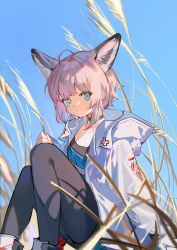 Rule 34 | 1girl, :|, absurdres, ahoge, animal ear fluff, animal ears, arknights, arm support, black skirt, blue eyes, blue shirt, closed mouth, coat, commentary request, cross, day, expressionless, feet out of frame, fox ears, fox girl, grey choker, grey pantyhose, highres, holding, holding plant, hood, hood down, hooded coat, long sleeves, looking at viewer, open clothes, open coat, pantyhose, pink hair, plant, red cross, shirt, shoes, short hair, sitting, skirt, sky, solo, sussurro (arknights), wheat, white coat, white footwear, zheshe jing
