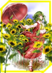 Rule 34 | 1girl, ascot, blue sky, blurry, border, bud, cloud, depth of field, dress shirt, female focus, flower, frills, grass, green eyes, green hair, kazami yuuka, kneehighs, lips, long sleeves, looking at viewer, makoto5391, mary janes, matching hair/eyes, outstretched arms, parted lips, puffy sleeves, shirt, shoes, skirt, sky, socks, solo, standing, sunflower, touhou, umbrella, vest, wind