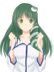 Rule 34 | 1girl, bad id, bad pixiv id, breasts, detached sleeves, female focus, frog hair ornament, green eyes, green hair, hair ornament, highres, kochiya sanae, matching hair/eyes, medium breasts, smile, snake hair ornament, solo, touhou, x&amp;x&amp;x