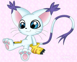 Rule 34 | animal ears, cat, cat ears, digimon, digimon (creature), gloves, holy ring, jewelry, ring, tail, tailmon