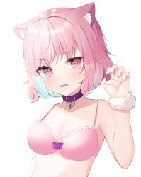 Rule 34 | 1girl, absurdres, ahoge, animal ears, bare shoulders, blue hair, blush, bra, breasts, cat ears, cleavage, collar, collarbone, commentary request, fang, frilled bra, frills, hair intakes, hand up, heart collar, highres, idolmaster, idolmaster cinderella girls, large breasts, looking at viewer, medium breasts, multicolored hair, nannung, open mouth, pink bra, pink eyes, pink hair, purple collar, short hair, simple background, skin fang, solo, two-tone hair, underwear, upper body, white background, yumemi riamu